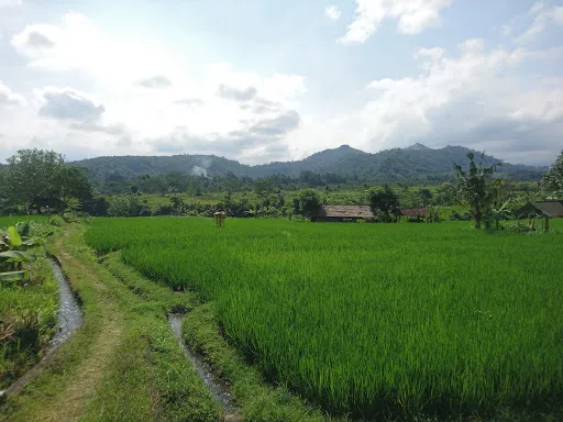 Bali Countryside Sidemen 1