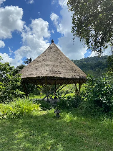 Bali Countryside Sidemen 2