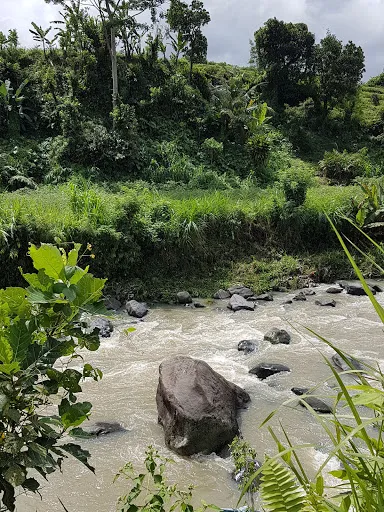 Bali Countryside Sidemen 4