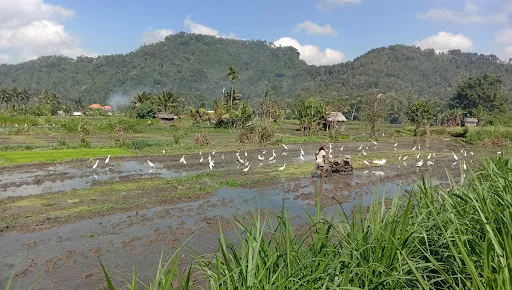 Sidemen trekking(dek wira)