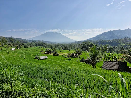 Sidemen Tour Driver 2