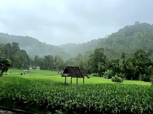 Sidemen Tour Driver 3