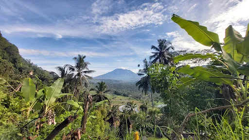 Sidemen Tour Driver 4