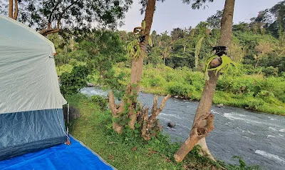 Angklung River Camp 1