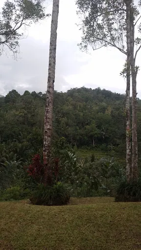 Sidemen Swing 4