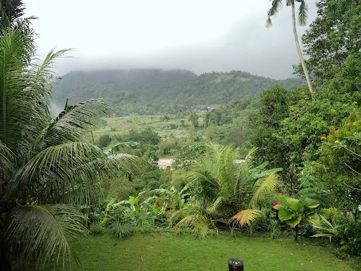 Narta sidemen guest house 3