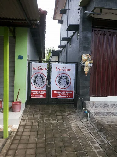 Leo Gym 2