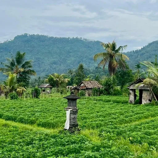 NYOMAN SIDEMEN TREKKING 1