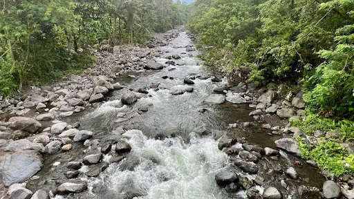 NYOMAN SIDEMEN TREKKING 3