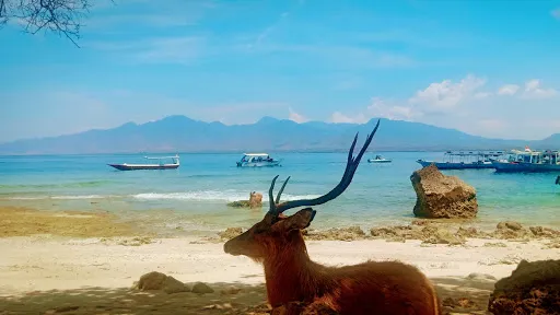 Deka Bali Tour 1