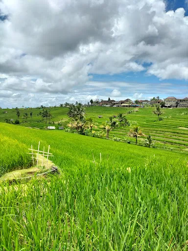 Deka Bali Tour 3