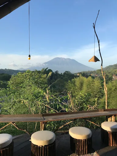 Dineora Bali 3