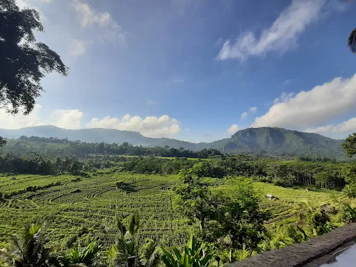 Natural view resto