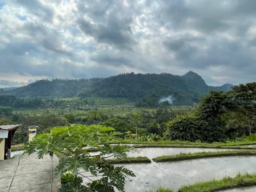 Sideman Ricefield Viewpoint