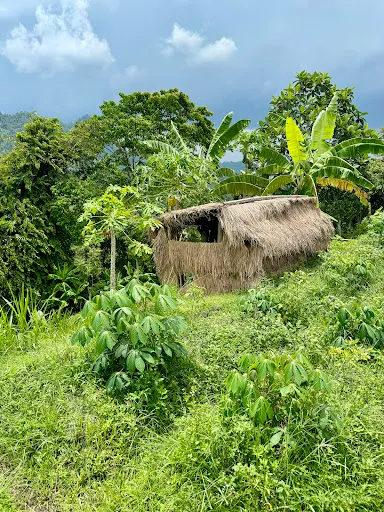 Sideman Ricefield Viewpoint 3