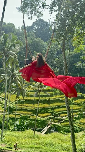 Paca Bali Transport 3