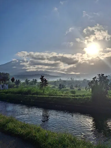 Balinese cooking class and Organic farm 3