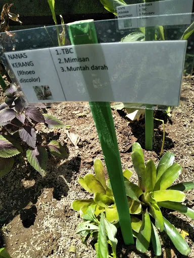 Puskesmas Gianyar I 4