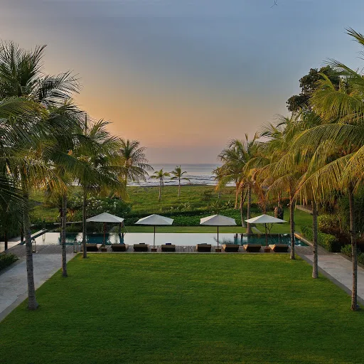 JEEVA Saba Bali 3
