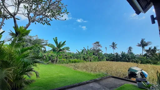 Tamiu Guesthouse at Keramas Beach Surf Spot 2