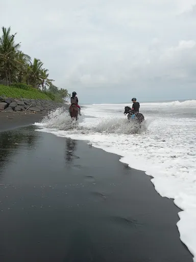 Bali Horse Riding 3