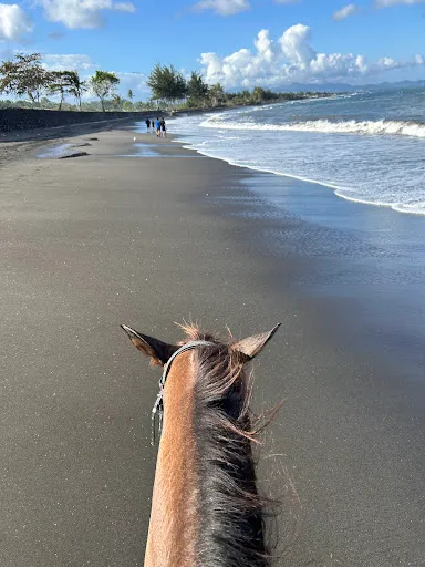 Bali Horse Riding 4