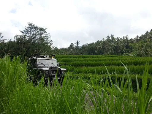 Bali Jeep Tours / 4x4 Bali Jeep Adventure (The Authentic One) 2