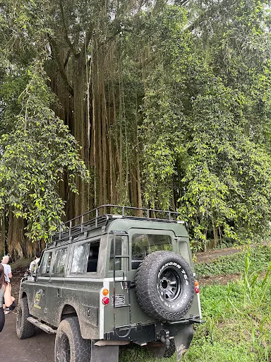 Bali Jeep Tours / 4x4 Bali Jeep Adventure (The Authentic One) 3