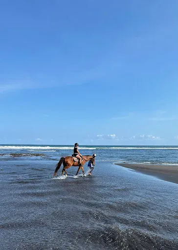 Puri Angsa Saba 3