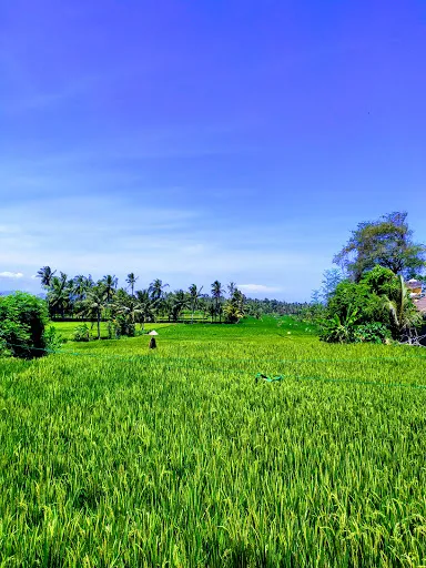 Pura Erjeruk 3