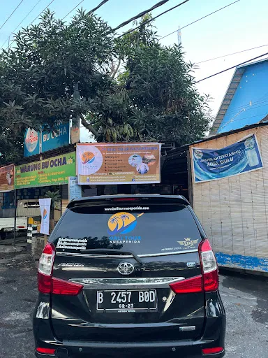 PT BALI TOUR NUSAPENIDA 3
