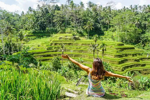 Eco Bali Tours