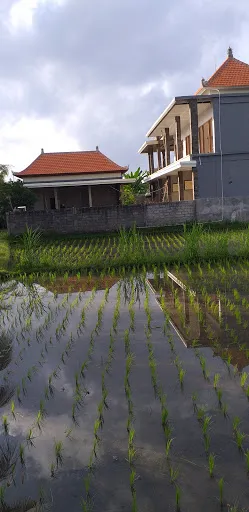 Cucukan Beach Guest House 3