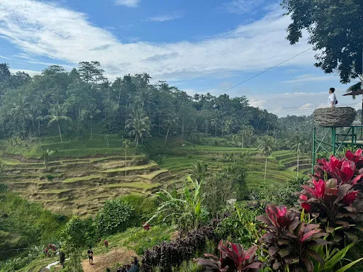 INDONATURE TRAVEL 4
