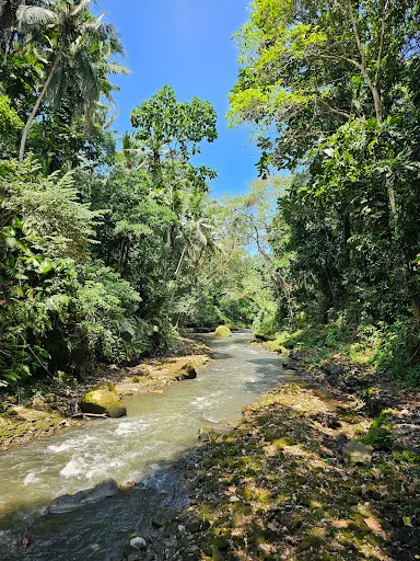 Kemenuh Monkey River 1