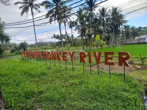 Kemenuh Monkey River 4