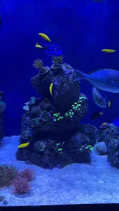 Marine Safari Bali 4