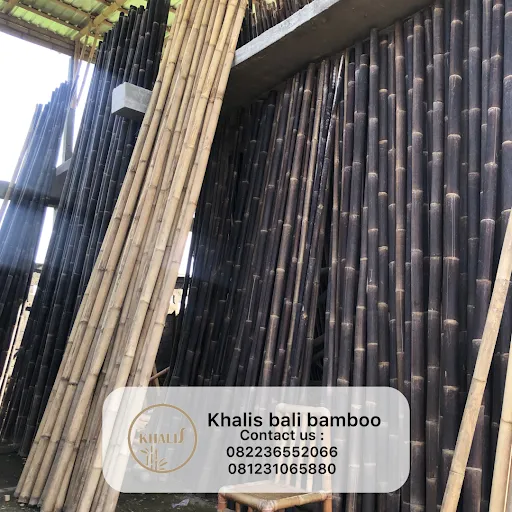 Khalis Bali Bamboo 2