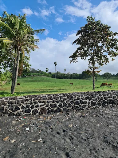Pantai Segara Wilis