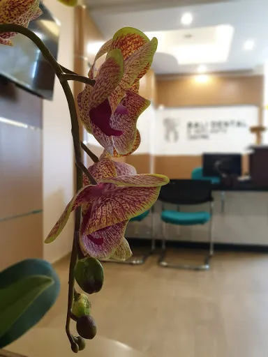 Bali Dental & Implants Centre Saba 4