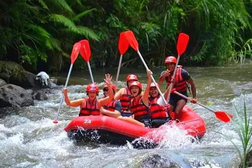 Private Bali Tour - Dedut Bali Tour