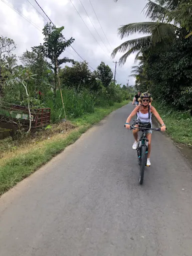 Private Bali Tour - Dedut Bali Tour 2