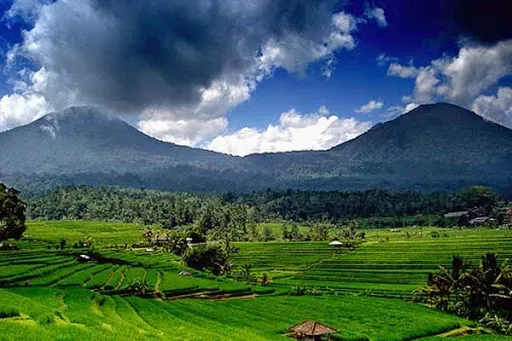 Bali Great Travel - Ubud Driver and Guide 2