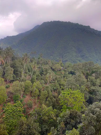 Bali Great Travel - Ubud Driver and Guide 3