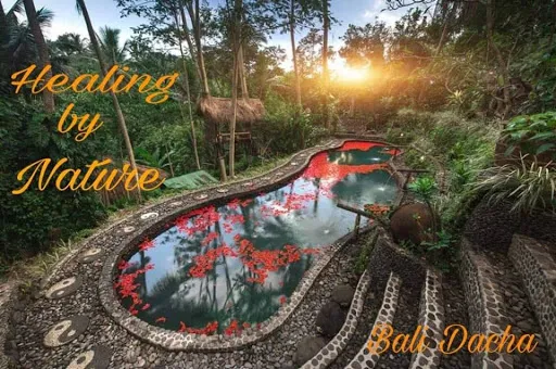 Bali Dacha 1