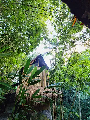 Bali Dacha 3