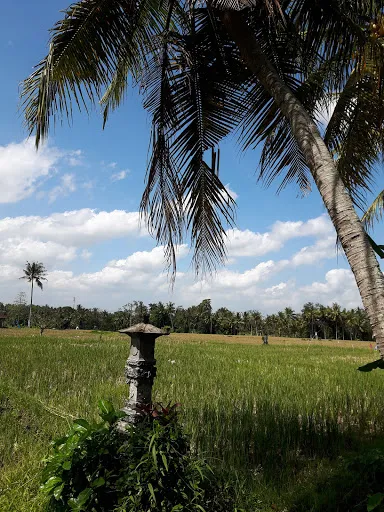 Pura Kebo Edan 4