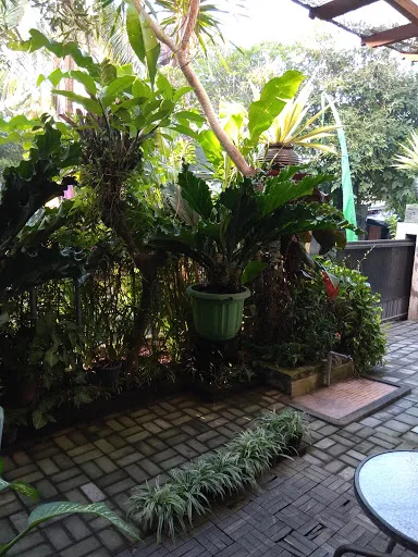 Airy Gianyar Hasanuddin Gang Dugul Sari Bali 4