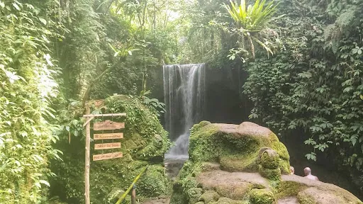 Ubud Adventures 1