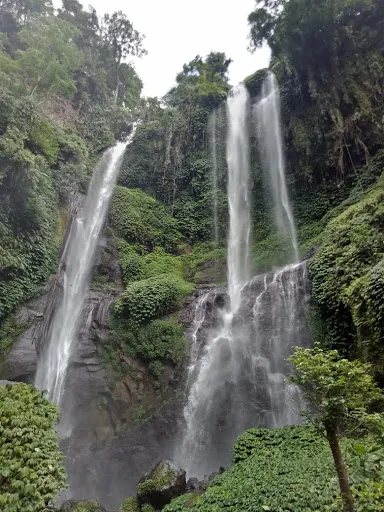 Ubud Adventures 2